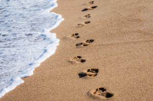 escape-to-ocean-city-md-in-march-2025-Screenshot-2024-11-27-105632-300x198-6a29be86df338.png Take a walk on the beach!