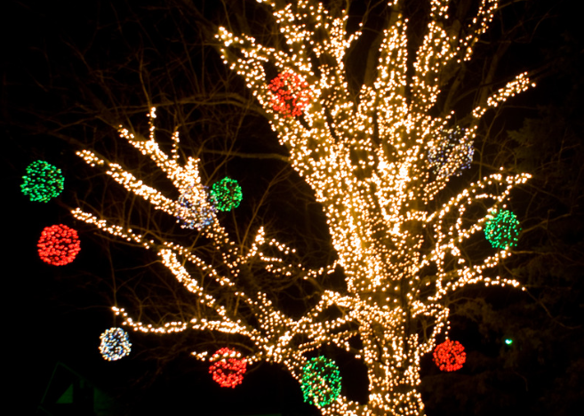 experience-winter-activities-in-ocean-city-md-Winterfest-of-Lights-in-Ocean-City-MD-6a29be847760d.png