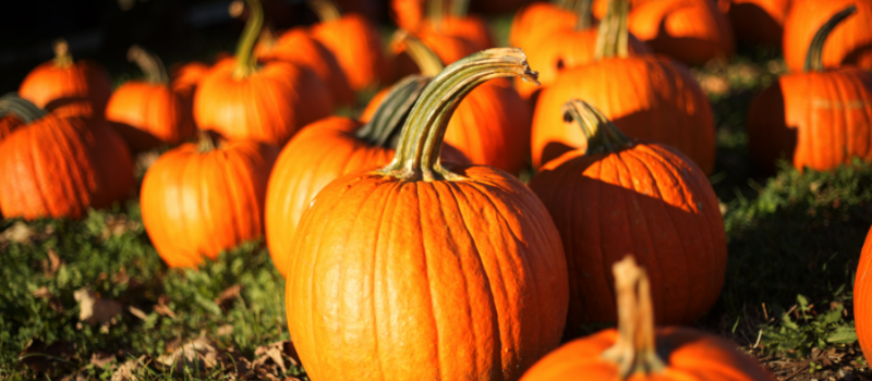 Fall Activities in Ocean City, MD