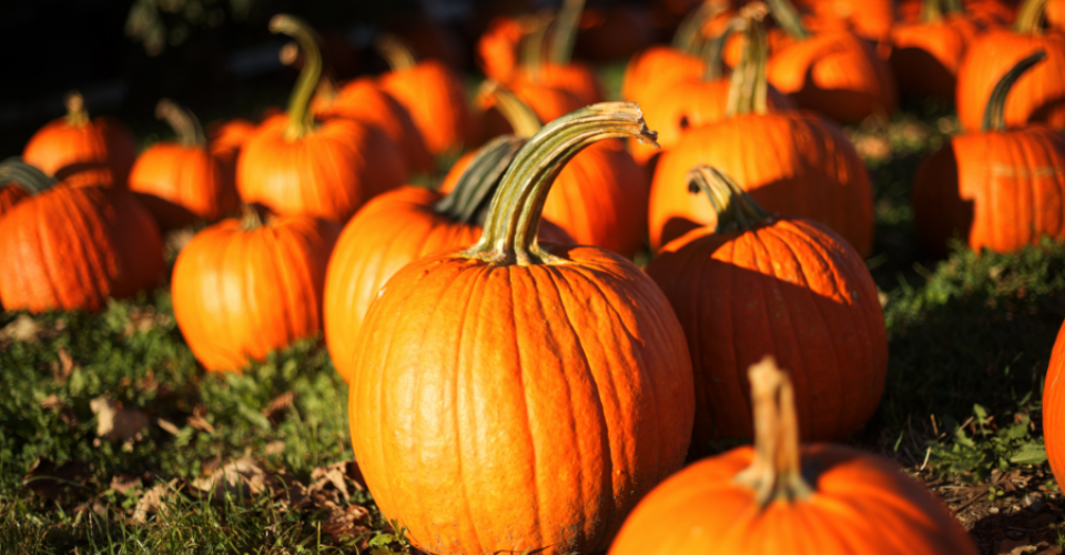 Fall Activities in Ocean City, MD
