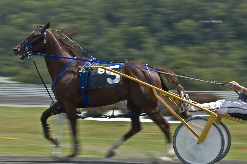 Horse Racing in Ocean City