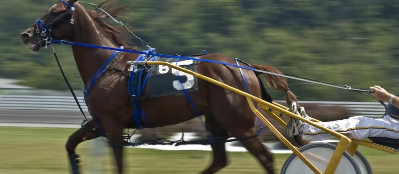 Horse Racing in Ocean City