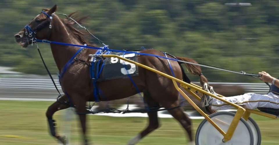 Horse Racing in Ocean City