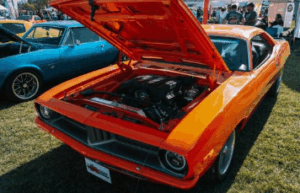 Endless Summer Cruisin Ocean City MND