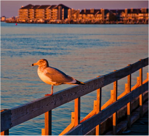 One Last Fall Getaway To The East Coast