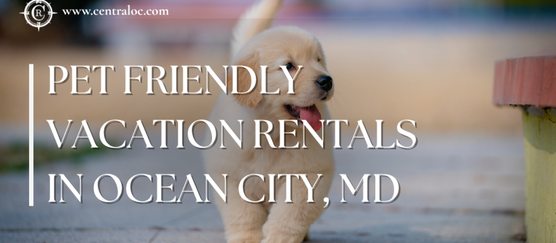 Pet-Friendly Vacation Rentals: Tips for Traveling with Your Furry Friends