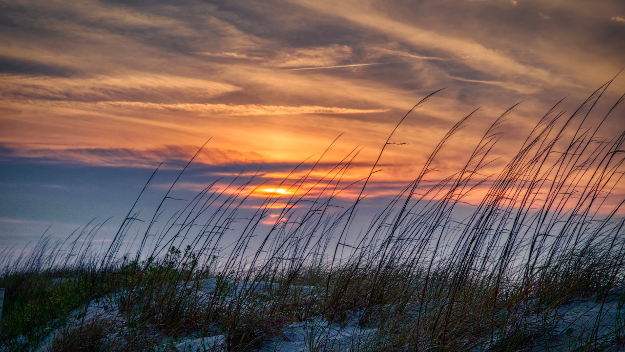 Shoulder Season: Why You Should Escape to OCMD in September