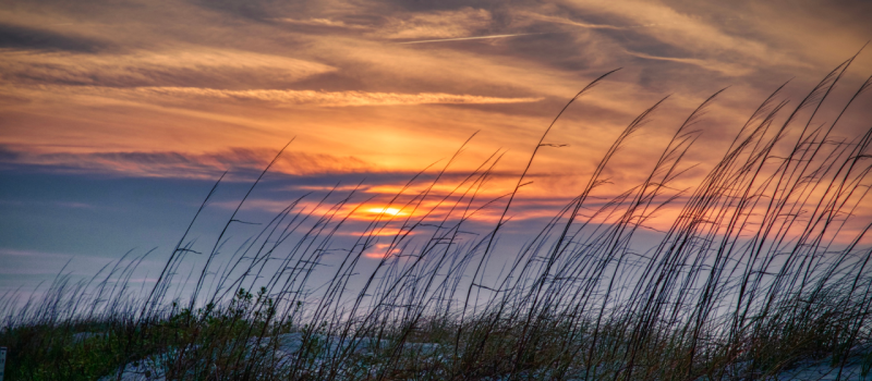Shoulder Season: Why You Should Escape to OCMD in September