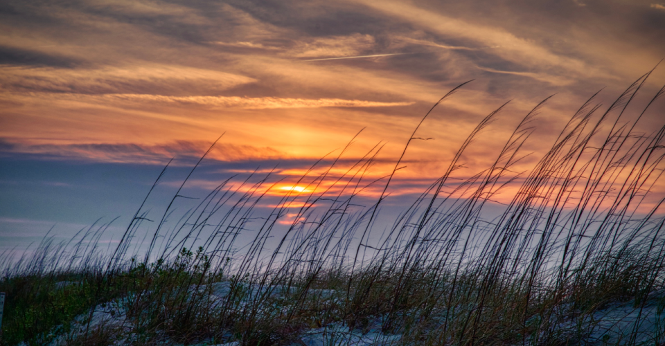 Shoulder Season: Why You Should Escape to OCMD in September