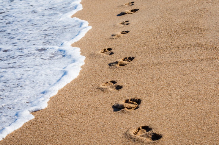 Take a walk on the beach!