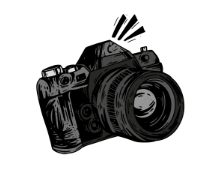 Photograph the wildlife in Assateague Island