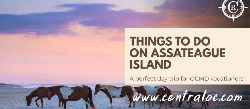 Things to Do on Assateague Island: Day Trip From Ocean City