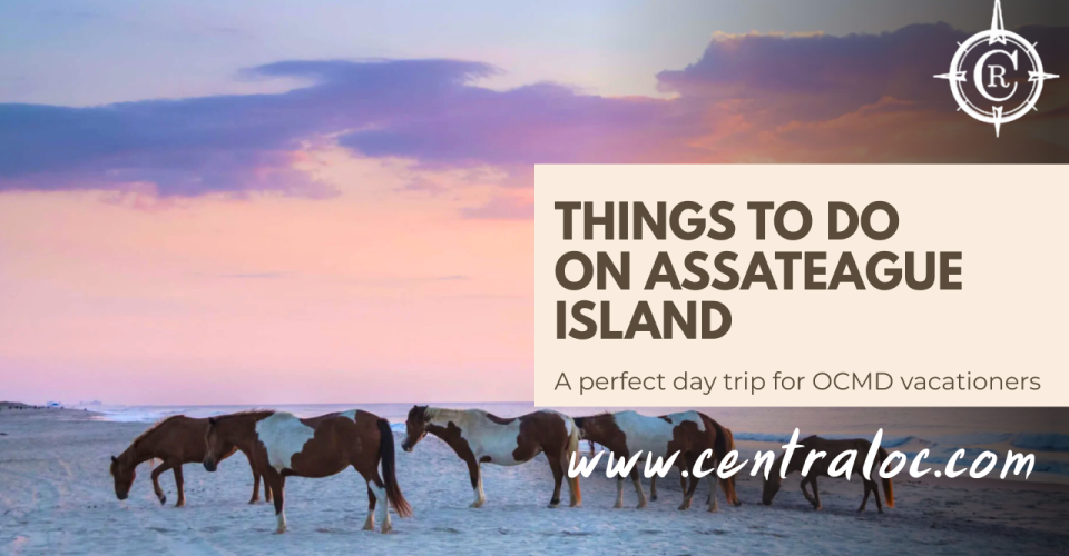 Things to Do on Assateague Island: Day Trip From Ocean City