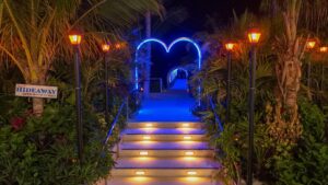 top-5-best-seafood-restaurants-in-ocean-city-md-Seacrets-Hideaway-300x169-6a29be8a7ec4a.jpg New seafood restaurant in OCMD