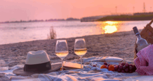 Wine Fest OCMD