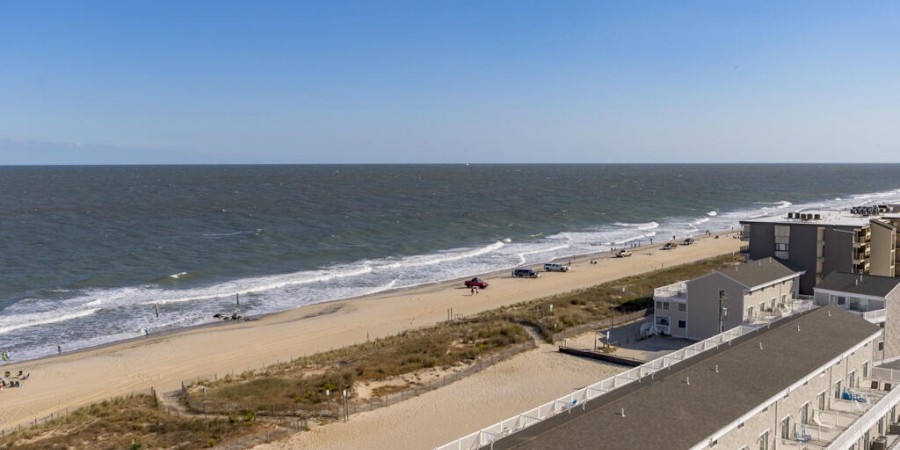 View of the Ocean