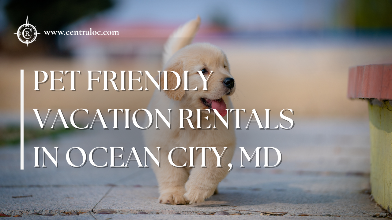 Pet Friendly Vacation rentals in Ocean City MD